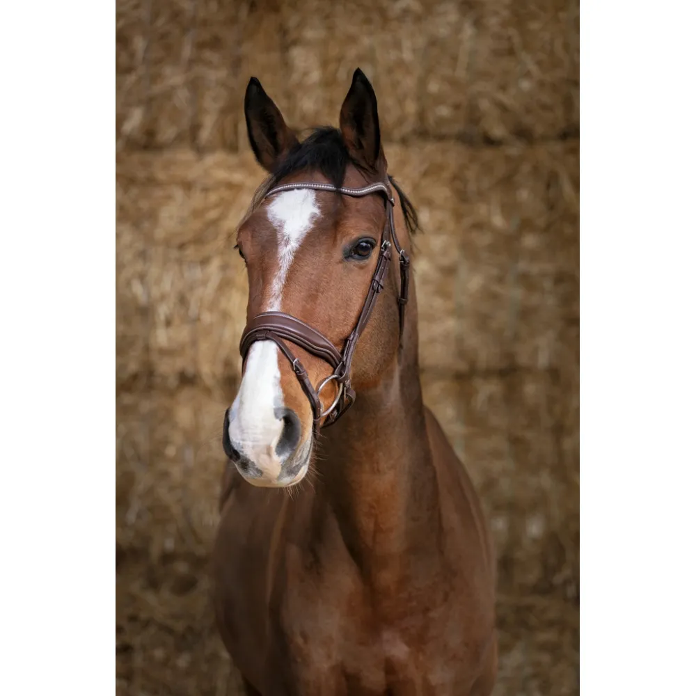Bridon Norton Pro Miss - BRIDONS CUIR - PADD