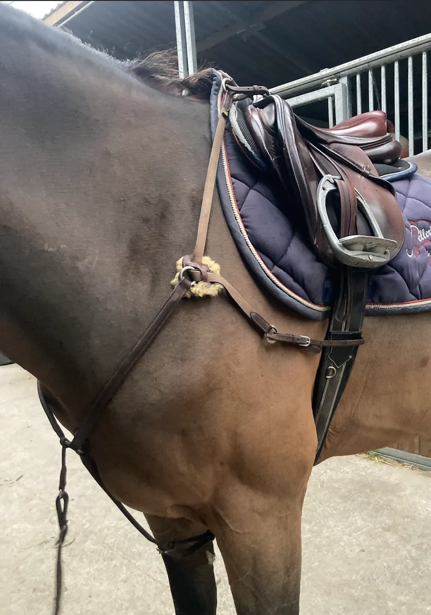 Collier de Chasse Devoucoux