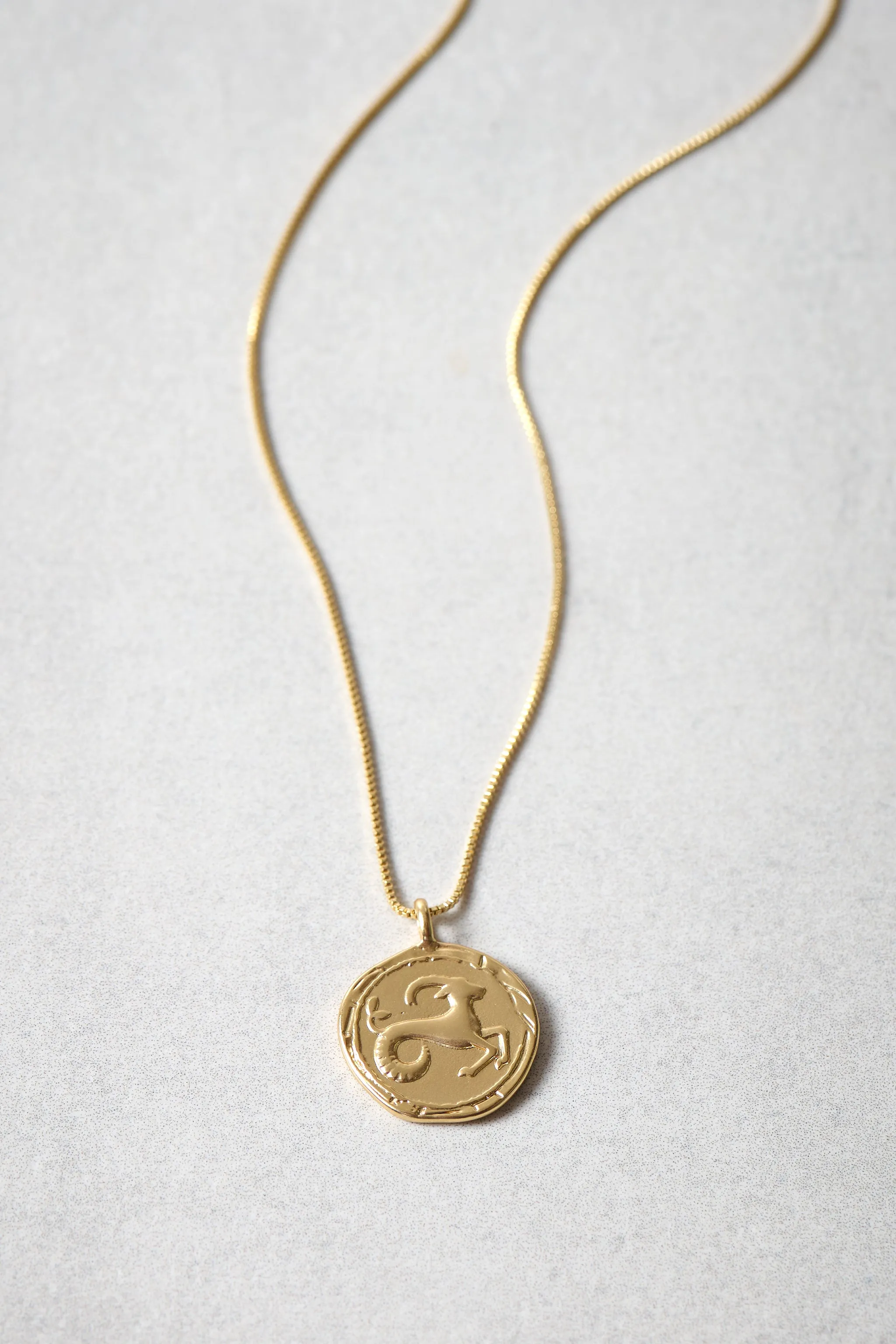 Collier horoscope - Capricorne