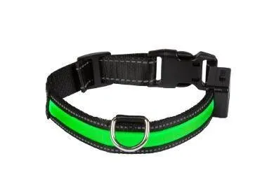Collier lumineux rechargeable Vert - EYENIMAL NUM'AXES