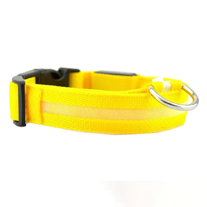 Collier lumineux - Sécurité pour chiens dans le noir