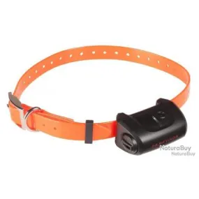 Collier Supplémentaire Canicom 5 - Collier Seul Canicom 5 - Sangle Orange - NUM375