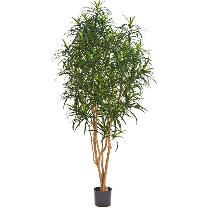 Dracaena Anita - Plante Artificielle, différentes tailles