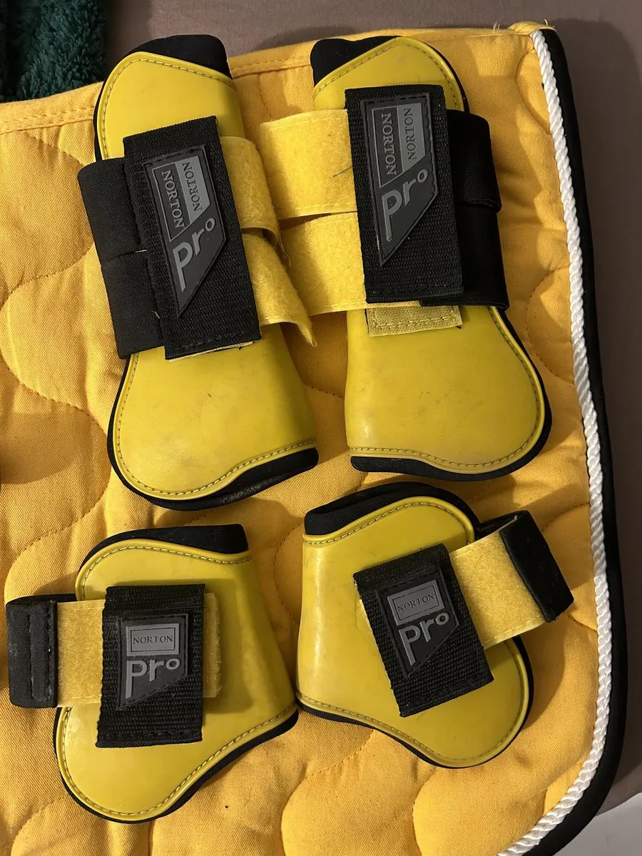 Ensemble tapis bonnet Équitheme guêtres Norton jaune
