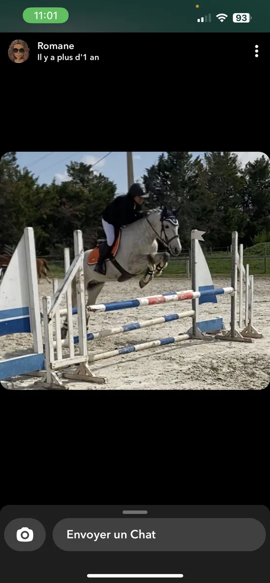 Guêtres Norton XTR Mouton