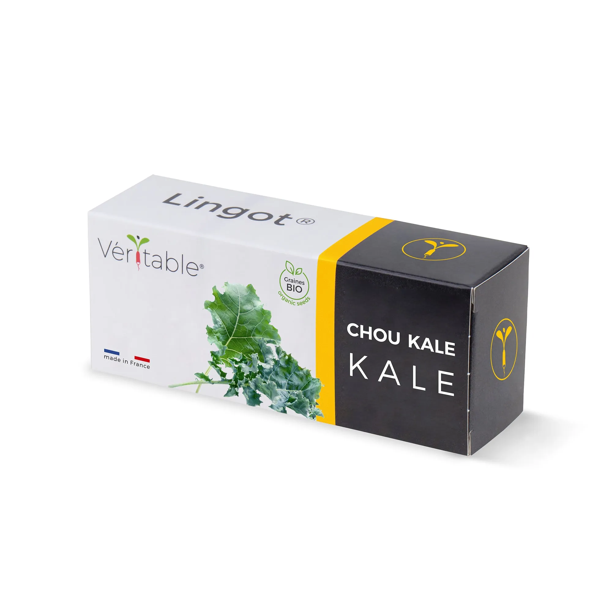Lingot Chou Kale Véritable 