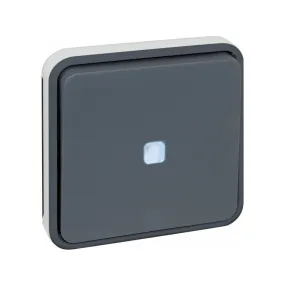 OXXO BP lumineux compos GRIS IP55  (60824)
