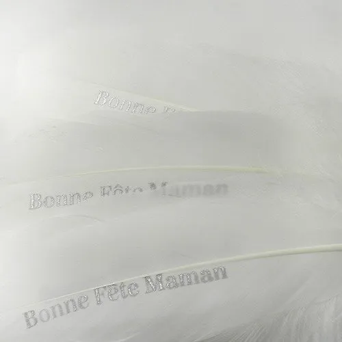 Plume "bonne fête maman" blanc et argenté (fête des mères)