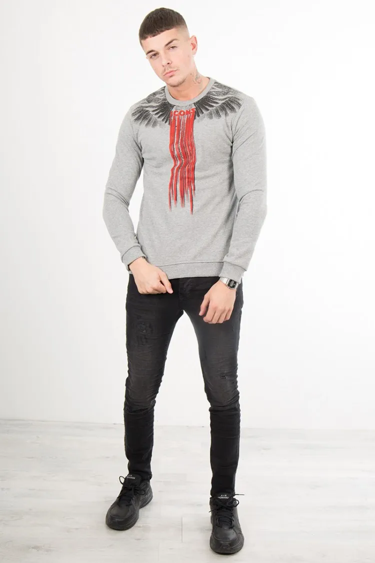 Pull Icons ailes gris chiné
