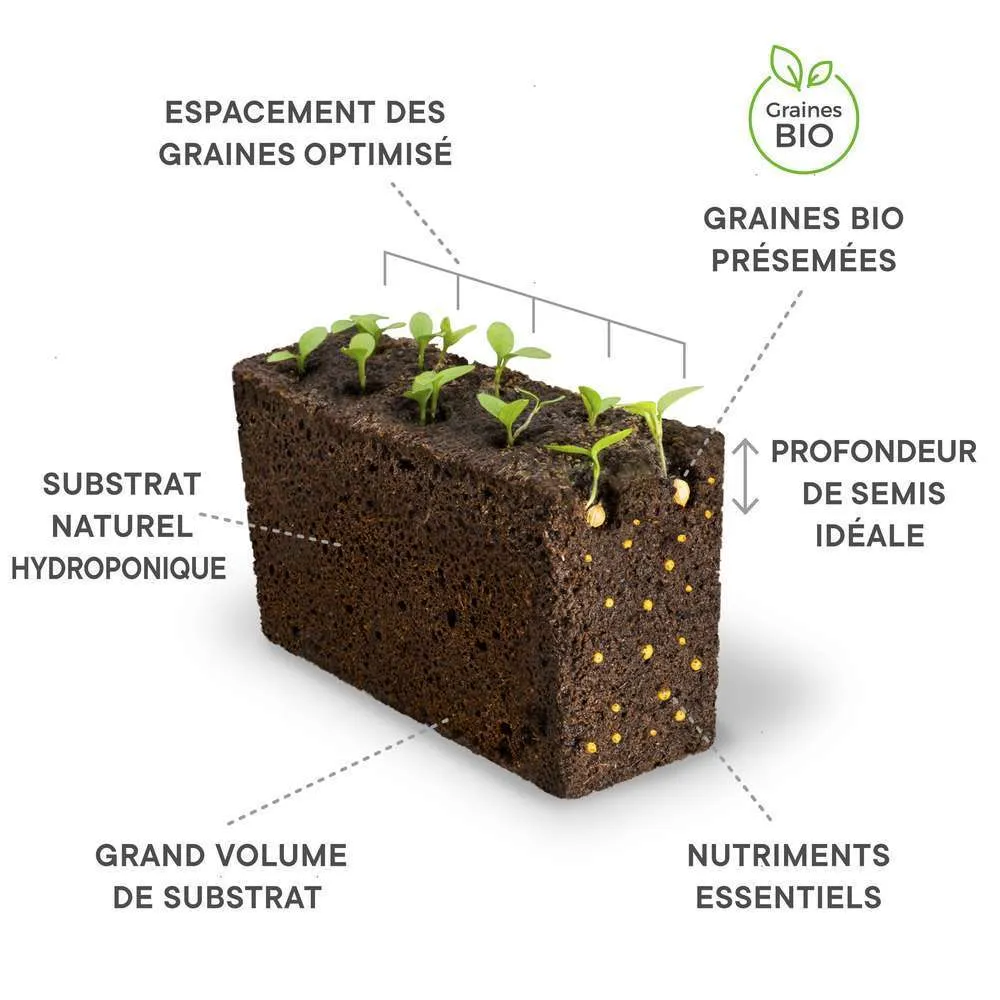 Recharge lingot® de mini poivron jaune bio - pour potager Véritable®