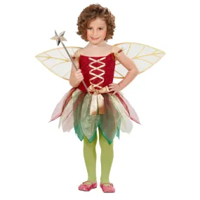Robe et Ailes de Fée Fantastique