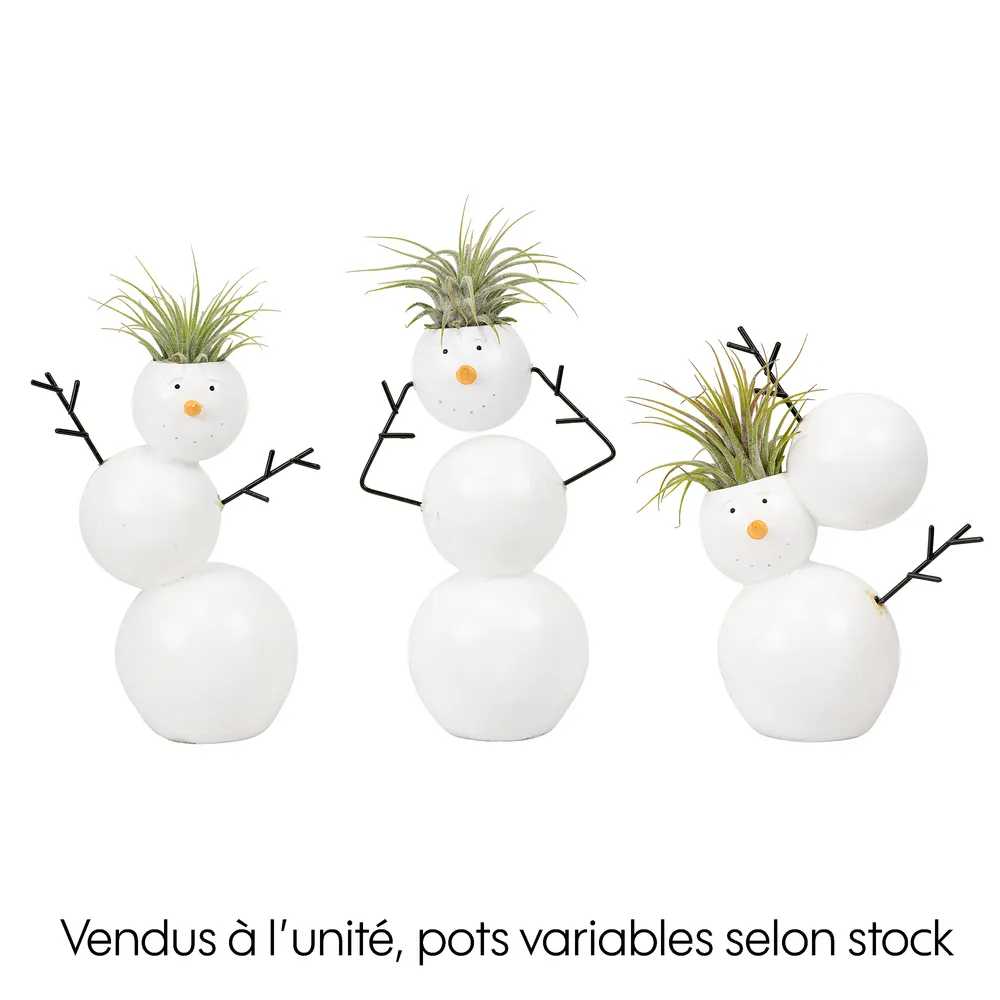 Tillandsia - cache pot bonhomme de neige